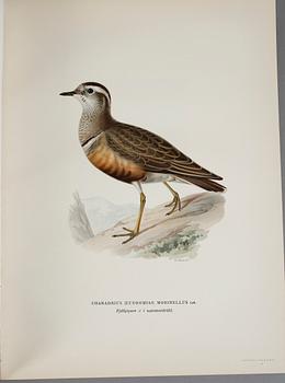 BÖCKER, 3 volymer, M., W. och F. von Wright, "Svenska Fåglar". Andra upplagan, 1929. Förlaget Svenska Fåglar.