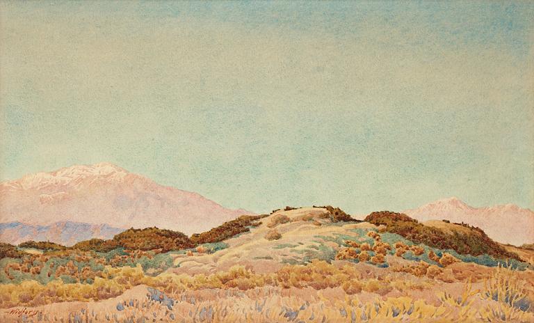 Gunnar Widforss, "At Palm Springs".
