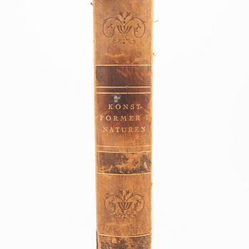 Book, "Art Forms in Nature", Karl Blossfeldt, Spamersche Buchdruckerei, Leipzig, 1930.