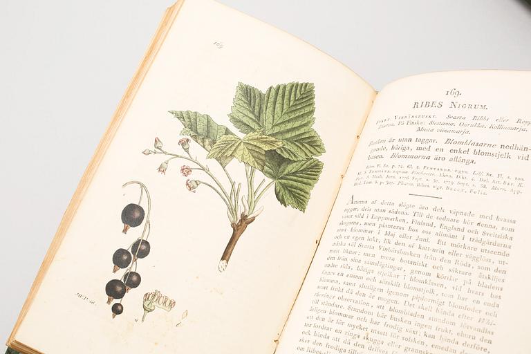 4 volumes of 'Svensk Botanik' ('Swedish Botany') by J. W. Palmstruch, 1803-1805.