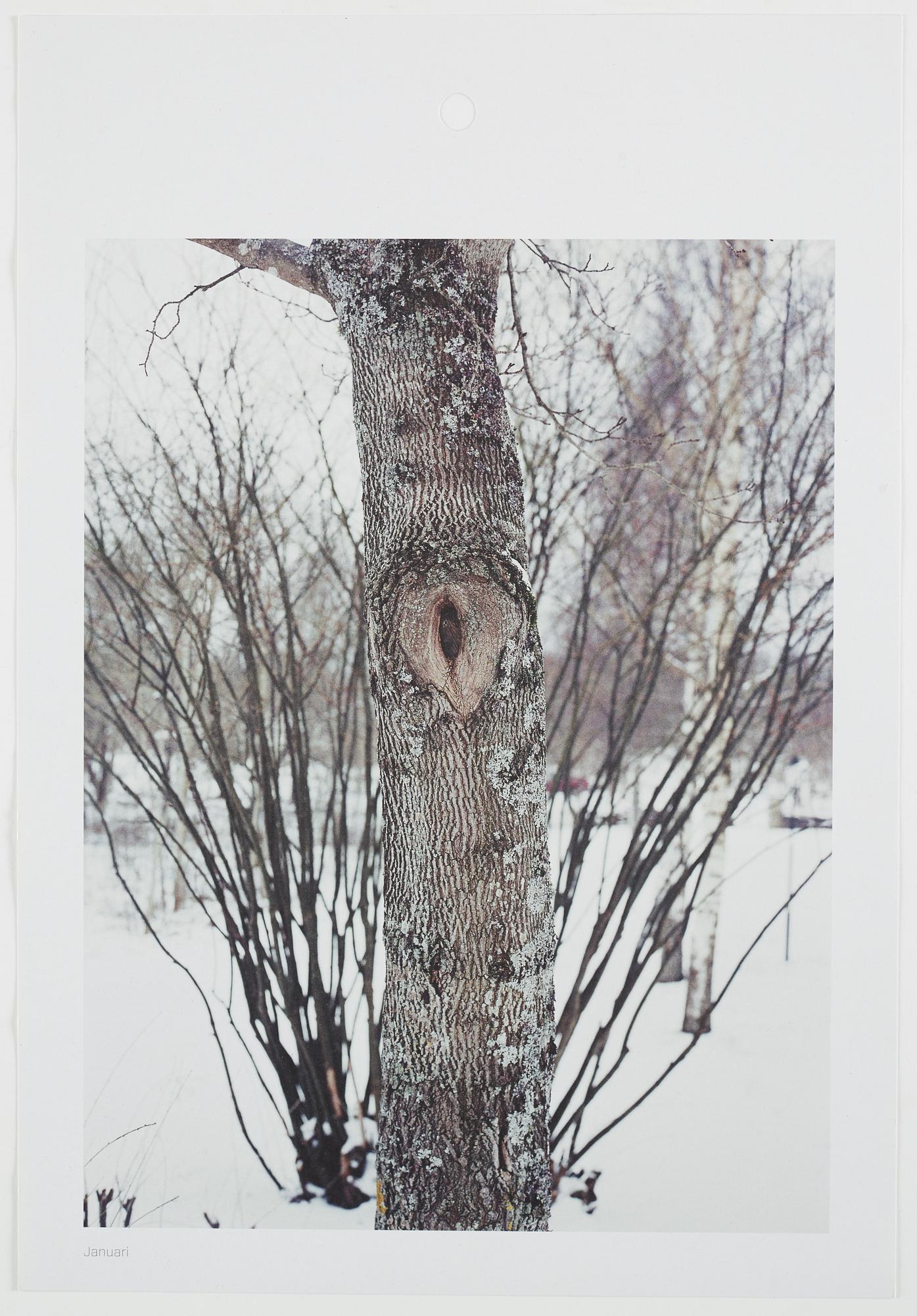 ANDREAS ERIKSSON, portfolio. Signed AE inside the box and numbered 18/250.