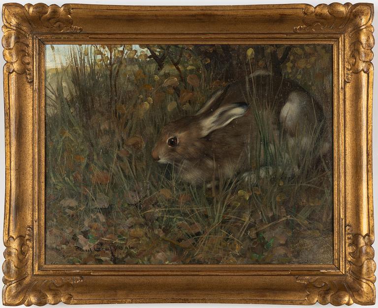 Paul Graf, Hare in the Grass.