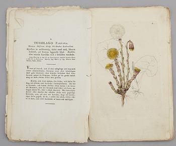 JOHAN WILHELM PALMSTRUCH, "Svensk Botanik, vol I-V. 1803-1805.