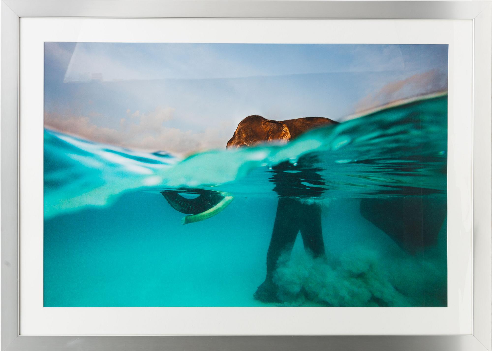 Annette Bonnier, "Morning Swim, Andaman Islands, India", 2012.