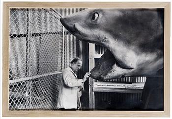254. John Bryson, FOTOGRAFI.