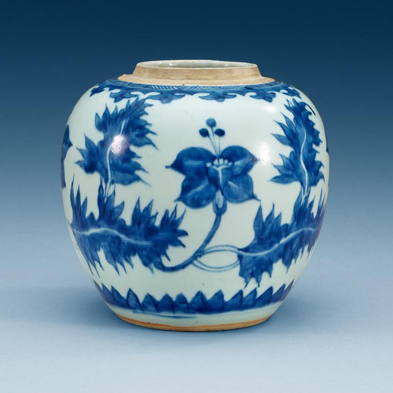 A blue and white jar, Qing dynasty, Kangxi (1662-1722).