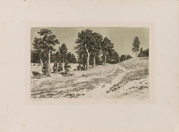 IVAN IVANOVITCH SHISHKIN, etching, plate signed and dated 86.