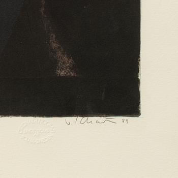 Philip von Schantz, "Kvällsstilleben".