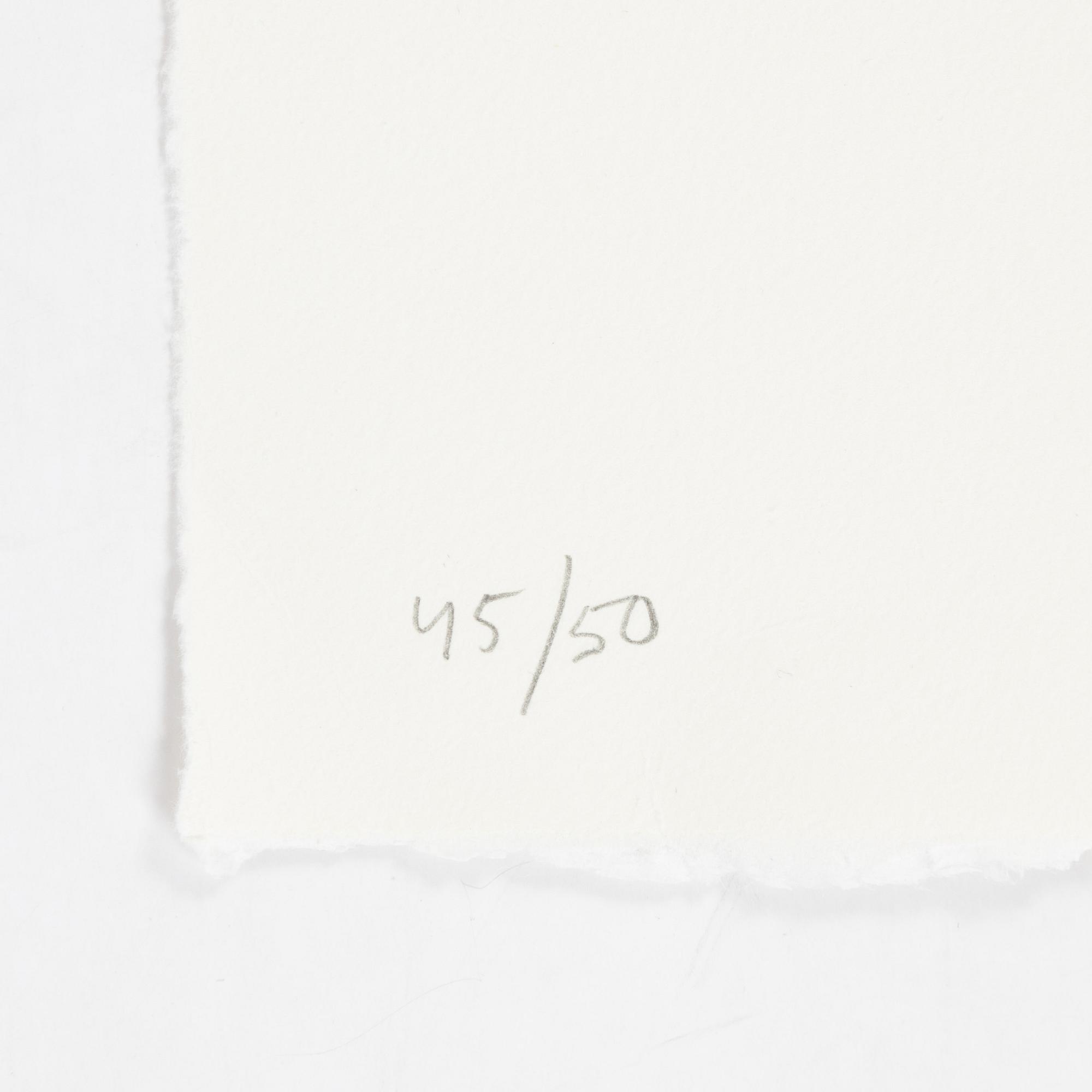 Jan Håfström, etching in colours, 2020, signed 45/50.