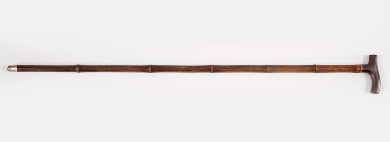 KÄPP / SVÄRD, sk Sword Cane, 1900-talets början.