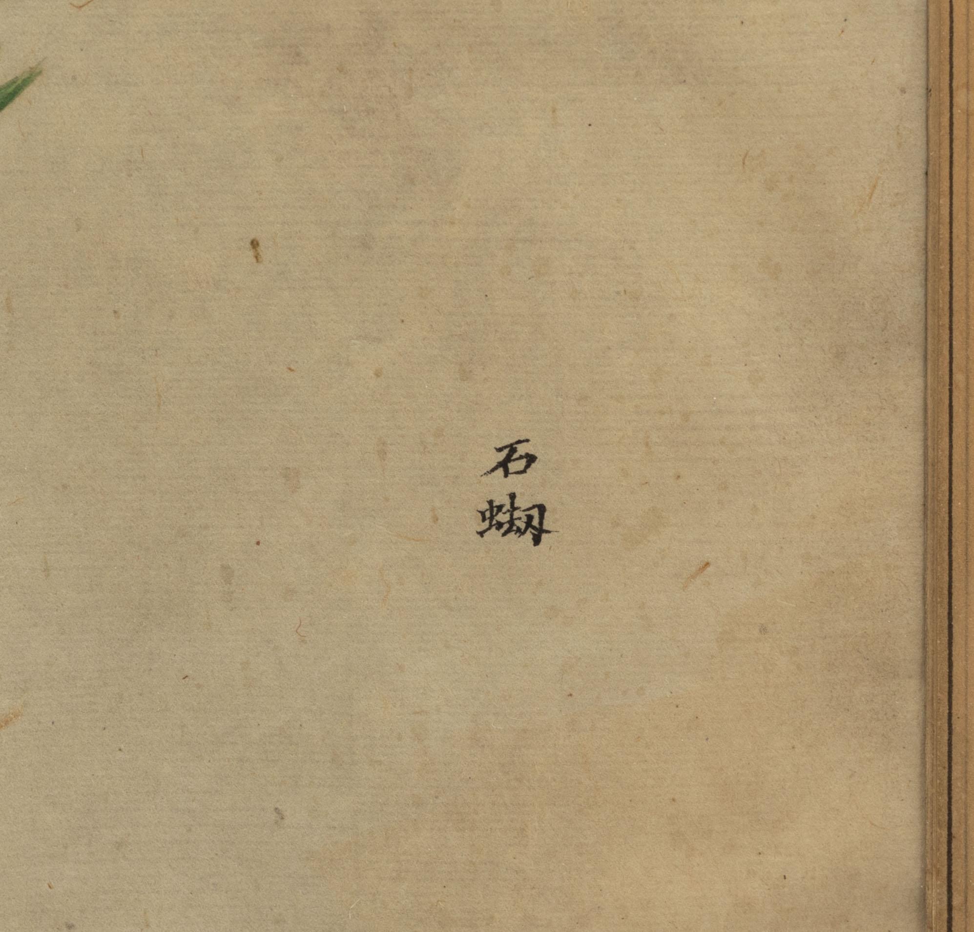 Unknown artist, watercolour, China, 20th century.