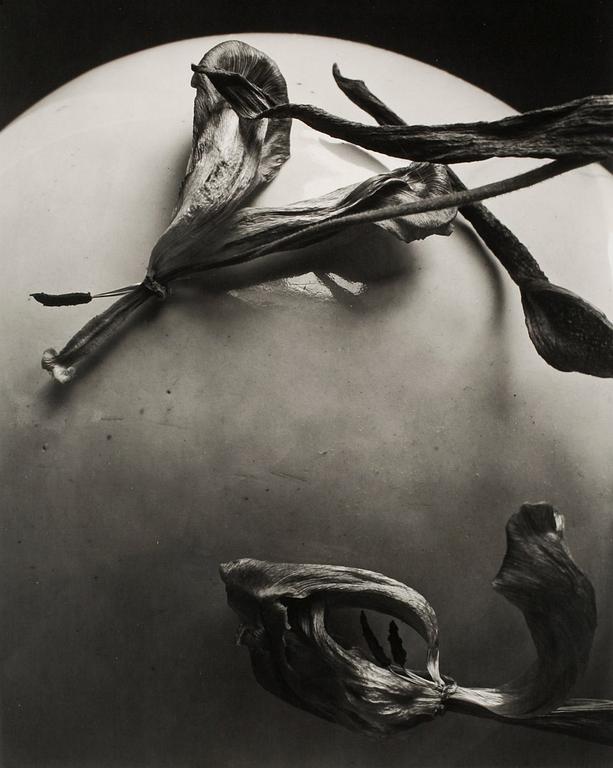 Gunnar Smoliansky, Utan titel.