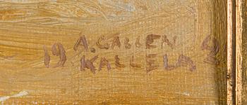 Akseli Gallen-Kallela, View from the Beach.