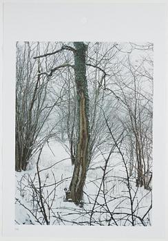 ANDREAS ERIKSSON, portfolio. Signed AE inside the box and numbered 18/250.