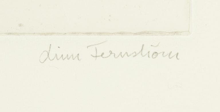 Linn Fernström, etching and numbered HC.