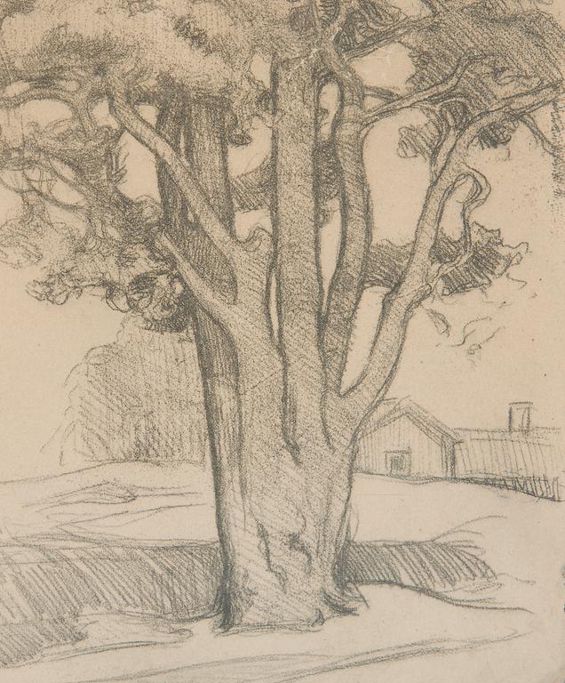 Eero Järnefelt, "Tuomalan mänty I".