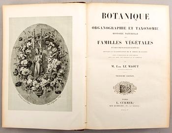 Emmanuel Le Maout, book 'Botanique. Organographie... Histoire naturalle', Paris 1855.