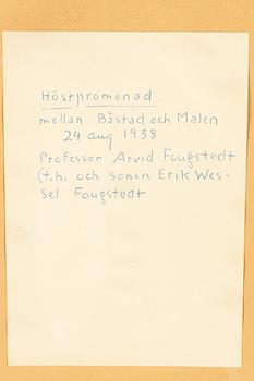 Arvid Fougstedt, "Höstpromenad".