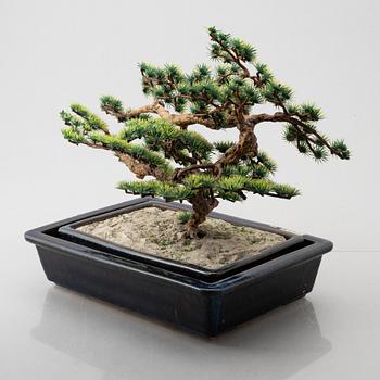 Two Japanese stoneware planting trays, one with a plastic bonsai tree, Nordiska Kompaniet, Sweden 1970s.