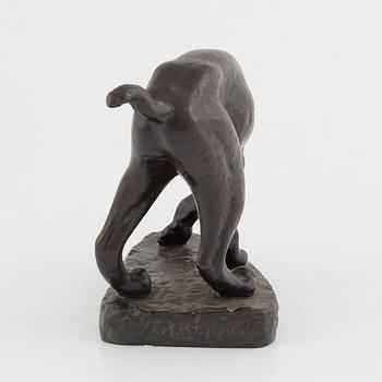 Arvid Knöppel, Smygande lodjur.