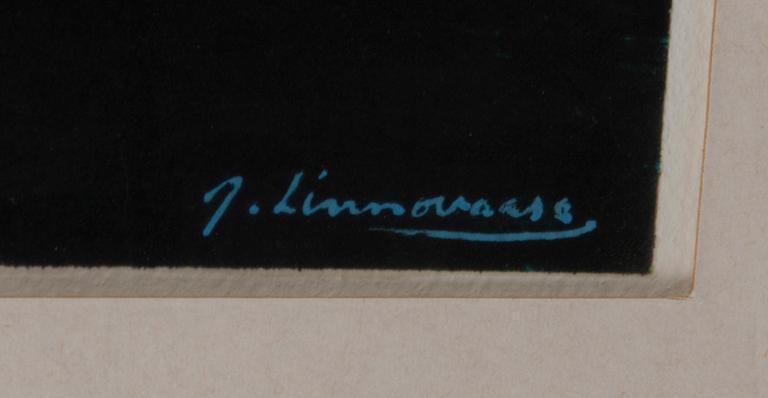 JUHANI LINNOVAARA, HÄMÄRÄSSÄ.