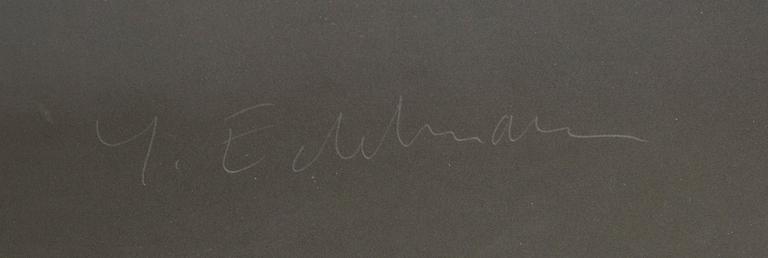 Yrjö Edelmann, untitled.