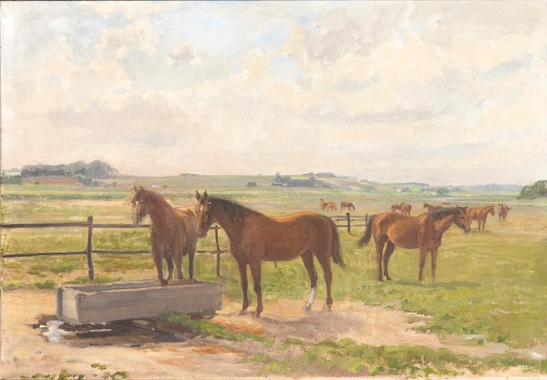 Axel Kleimer, Grazing Horses.