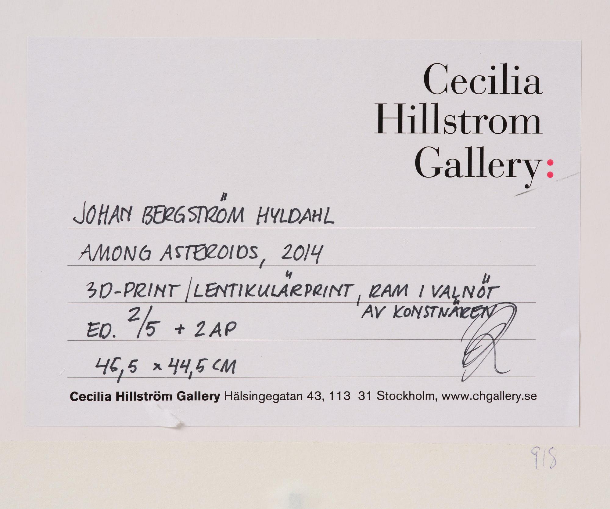 Johan Bergström Hyldahl, "Among Asteroids".