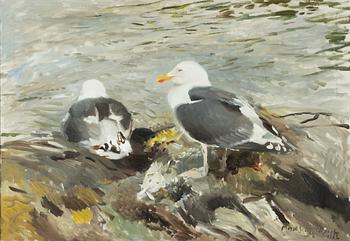 Mosse Stoopendaal, Gulls on a skerry.