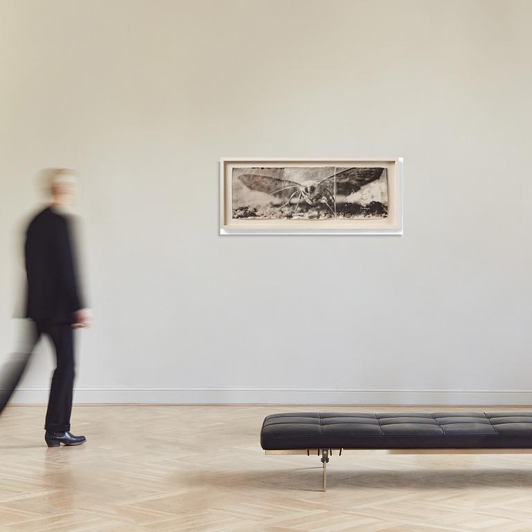 Mike & Doug Starn (Starn Twins), "Attracted to light #1", 1999-2002.