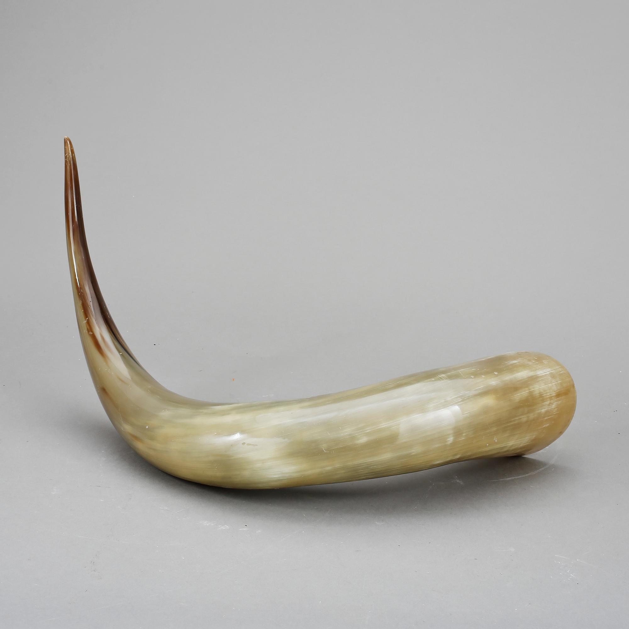 HORN, 1900-tal.