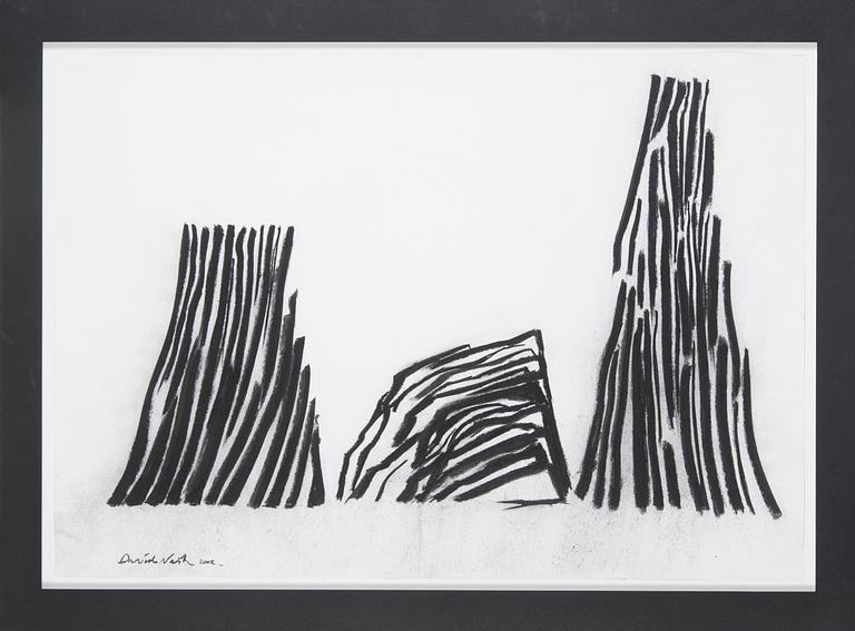 David Nash, "Shadow lines".