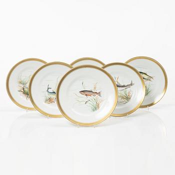 Royal Copenhagen, six hausmalerai 'Fauna Danica' plates, denmark, 1956.
