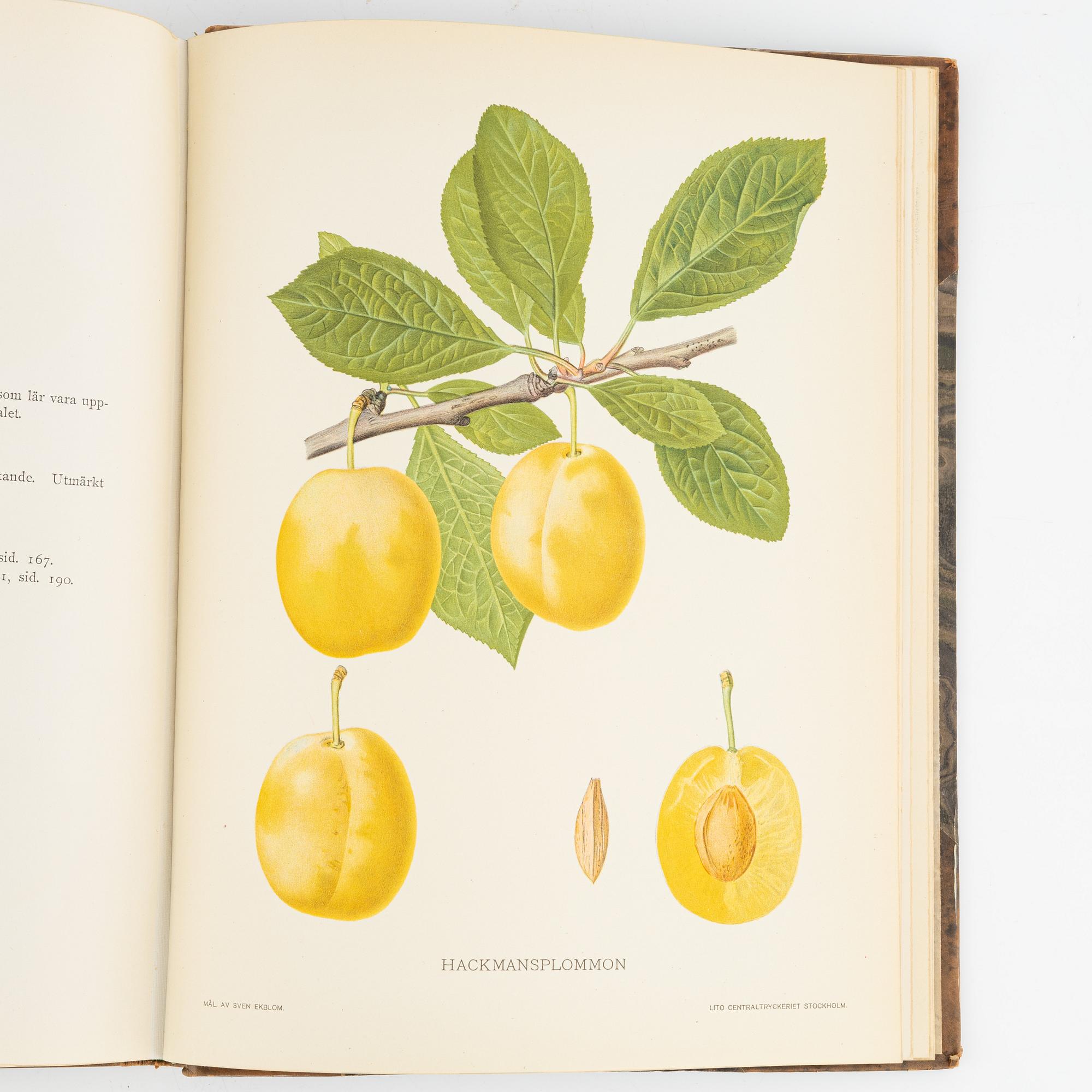 Gustaf Lind, bokverk, "Svensk frukt", samt Axel Pihl & Jakob Eriksson "Svenska Fruktsorter".