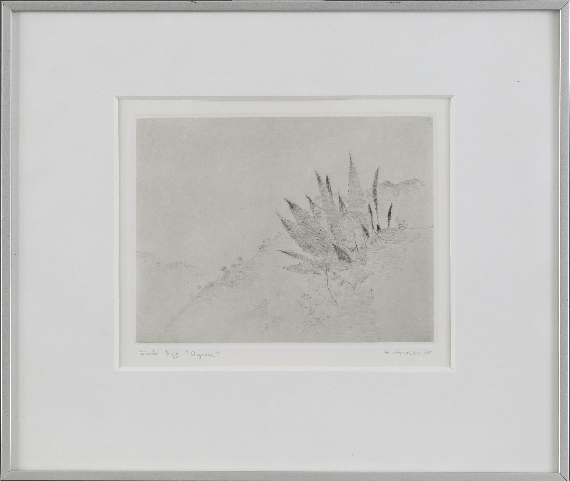 GUNNAR NORRMAN, etsning, signerad, numrerad 2/23 och daterad  1982.