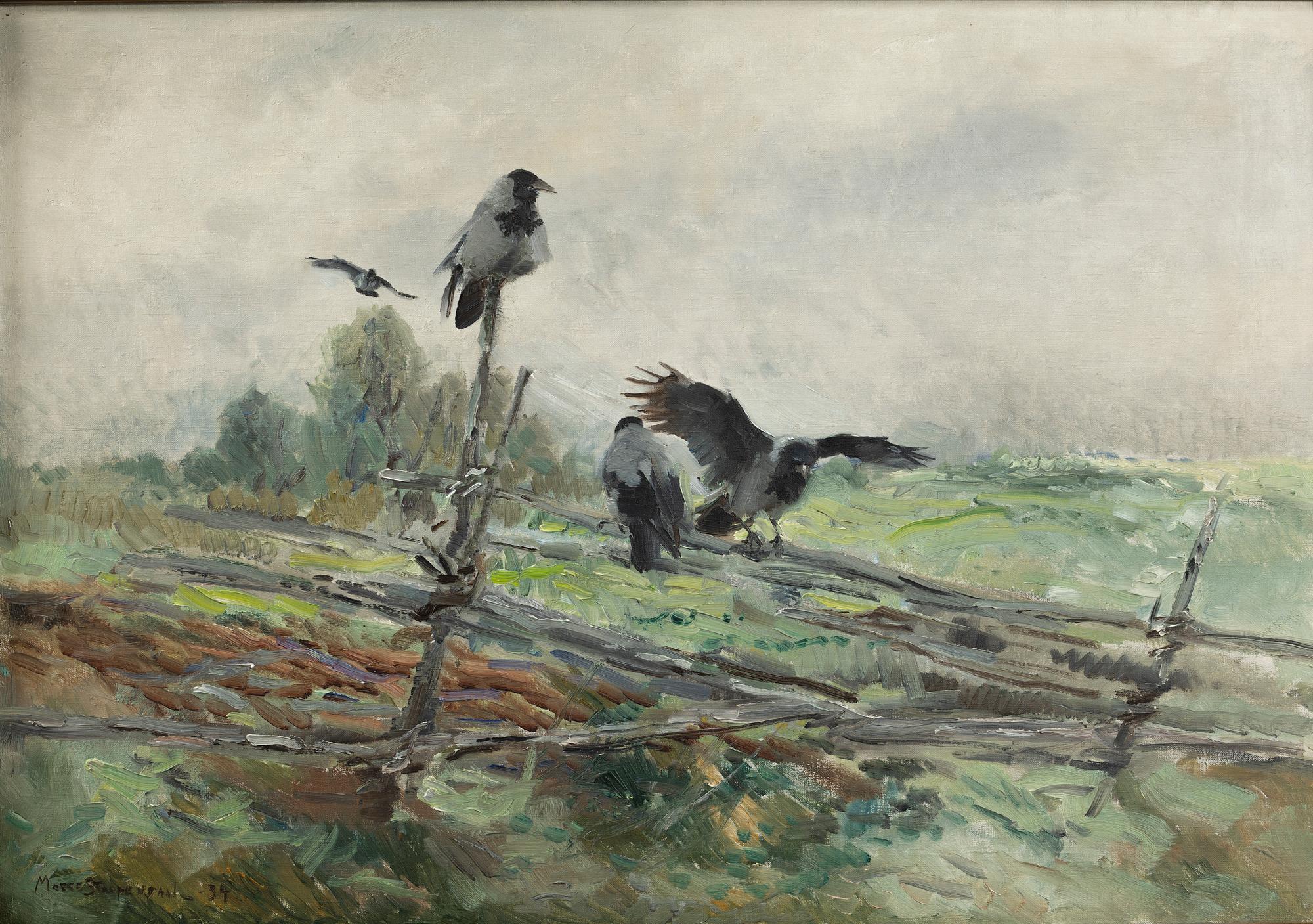 Mosse Stoopendaal, Crows.