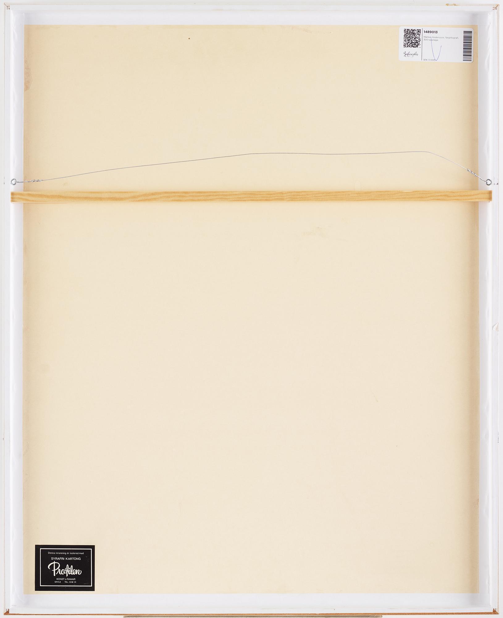 Mårten Andersson, 'Hälsingespelmannen' (Stora spelmannen).