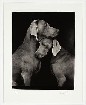 William Wegman, "Friends".