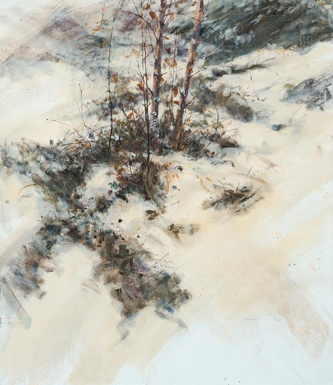 Ilkka Lammi, "BJÖRKARNAS VINTER".