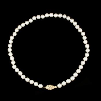COLLIER, odlade saltvattenspärlor med lås i guld.