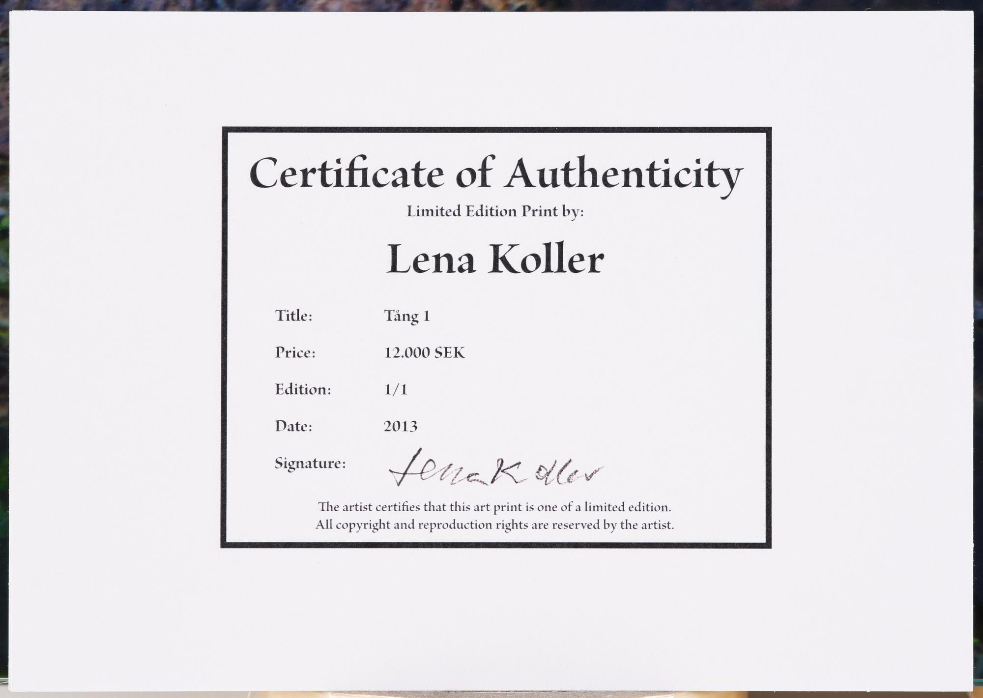 Lena Koller, "Tång", 2013.