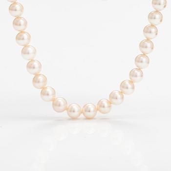 A cultured pearls collier with a sterling silver lock.