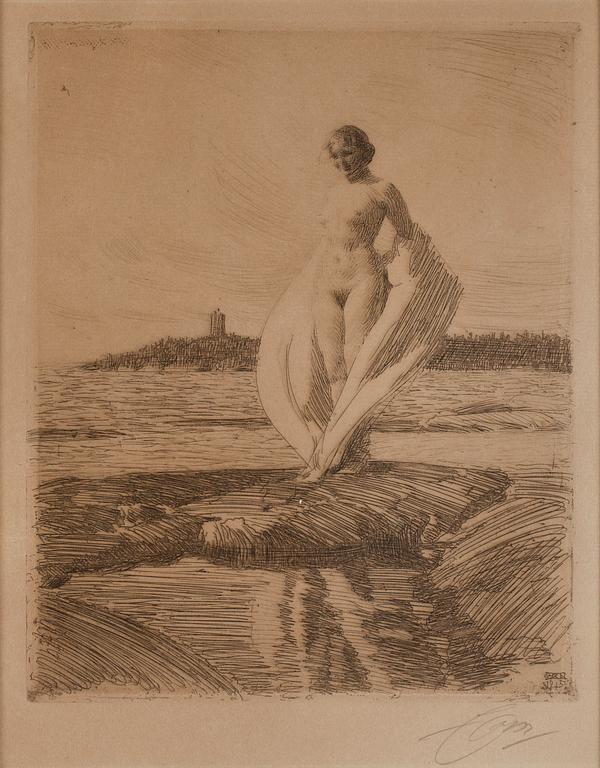 Anders Zorn, 'The swan'.