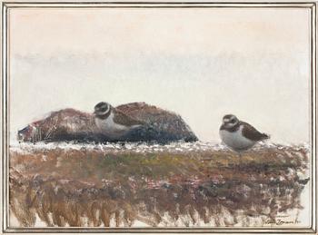 "Skymningsformer" (Plovers).