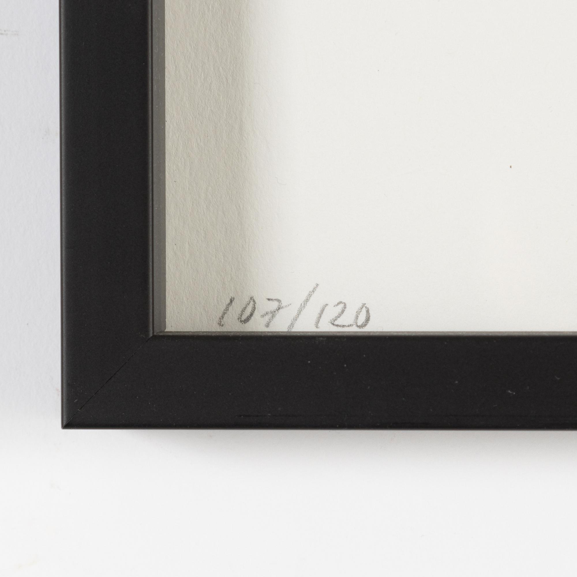 Makode Linde, litografi med UV-lack signerad, 107/120.