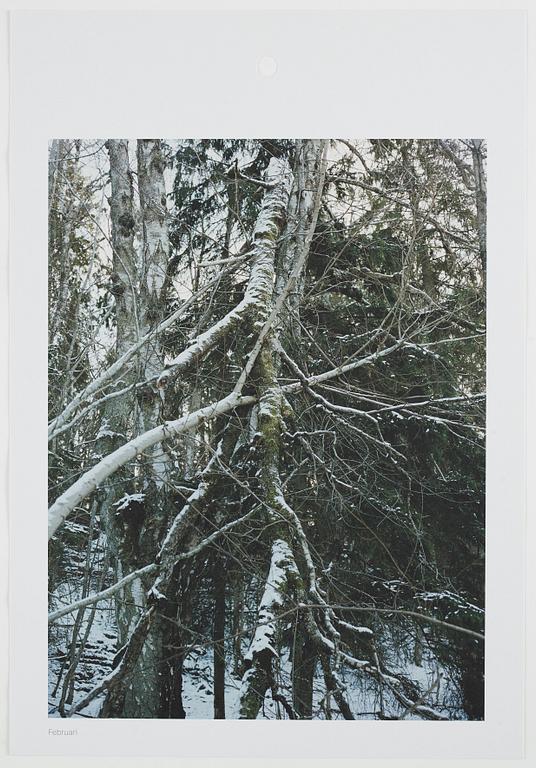ANDREAS ERIKSSON, portfolio. Signed AE inside the box and numbered 18/250.