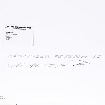 Esko Männikkö, "Organized freedom #85", 1999-2000.