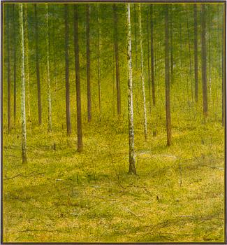 Pekka Walliander, "Metsä".