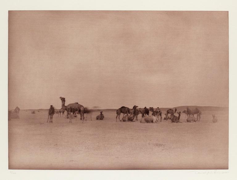 Denise Grünstein, "Jaisana".