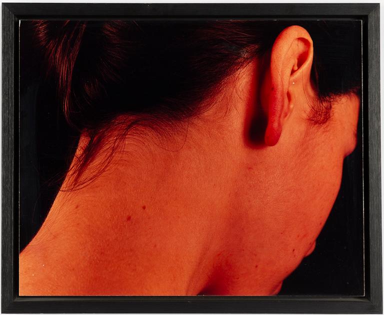 Staffan Redin, Untitled, quadriptych.